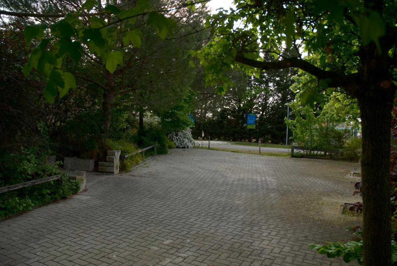 Rose Canine B&B Cesenatico Exterior foto