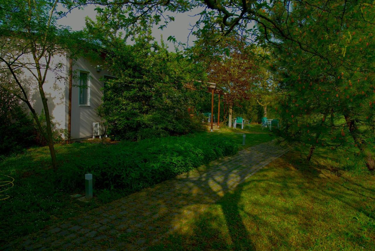Rose Canine B&B Cesenatico Exterior foto