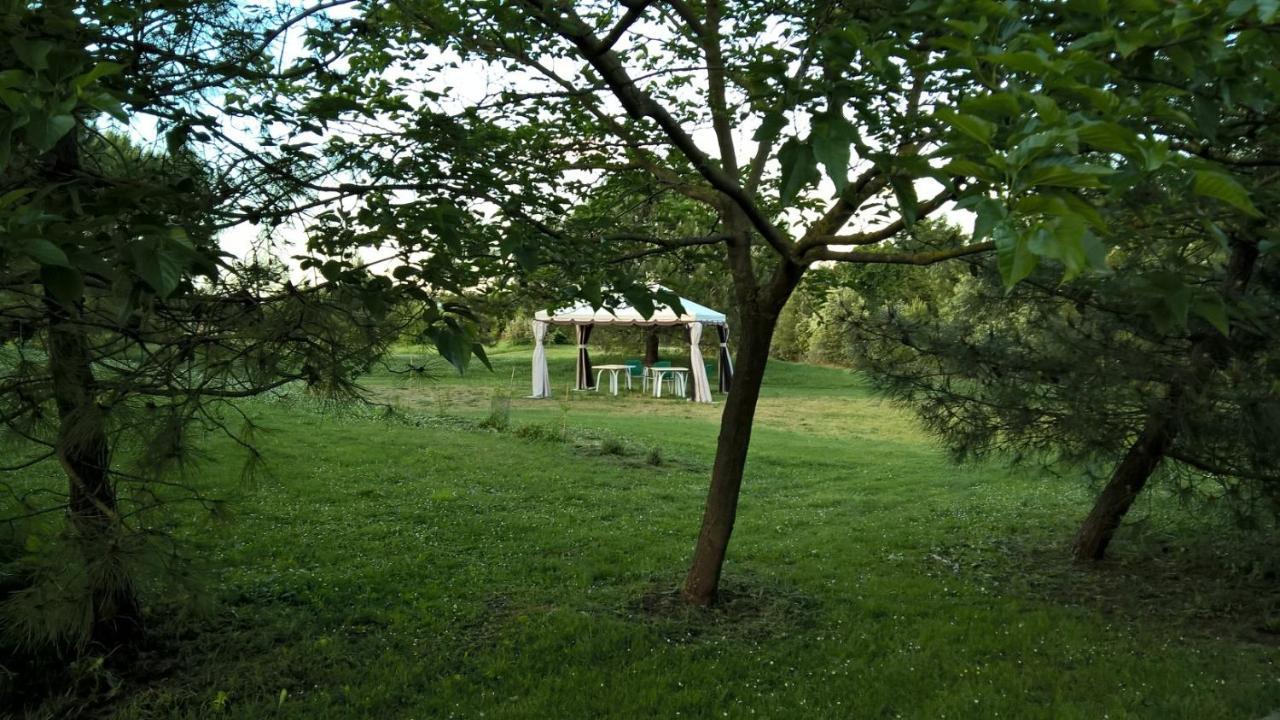 Rose Canine B&B Cesenatico Exterior foto